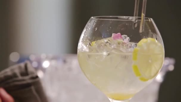 Yuzu Gin Tonic Drink Background Close — Wideo stockowe