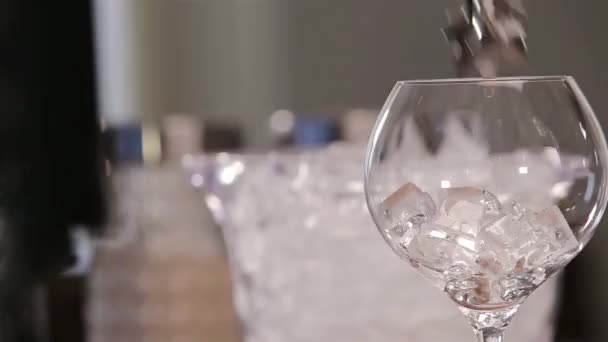 Beautiful Ice Cubes Glass — Stock videók