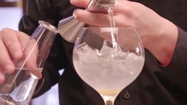 Mixing Liquids Jigger Cup Close — Αρχείο Βίντεο