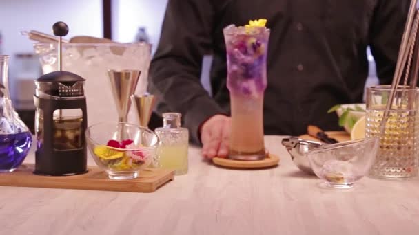 Beautiful Purple Drinks Flowers — Wideo stockowe