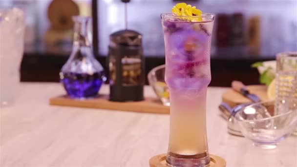 Garnish Beautiful Flowers Purple Drinks Forwards — Vídeos de Stock