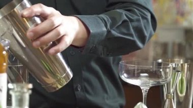 Take the Ice Cube to the Iron Shaker
