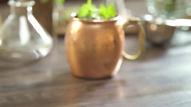 Garnish Leaves Cold Drinks Forwards — Video Stock