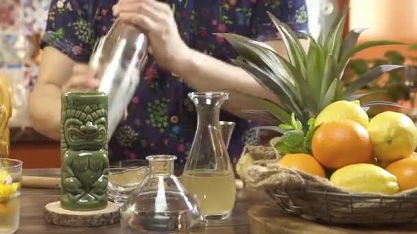 Shuffle Shaker Ice Beverage Mixture — Wideo stockowe