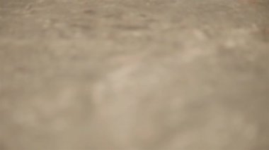 Üstte cam bir şişe ve nane şekeri ile iç - kaide yukarı.