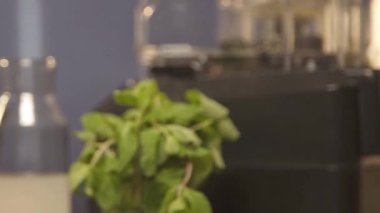 İçki yüzeyinde nane ve dik şişe.