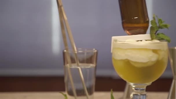 酒水表面上的薄荷和直立瓶 — 图库视频影像