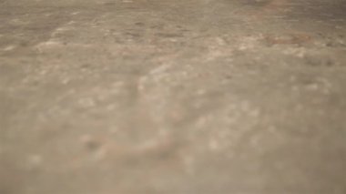 Masada nane şekerli dik bir şişe.