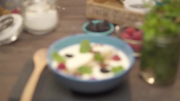 Bol Bleu Baies Feuilles Menthe Sur Smoothie — Video