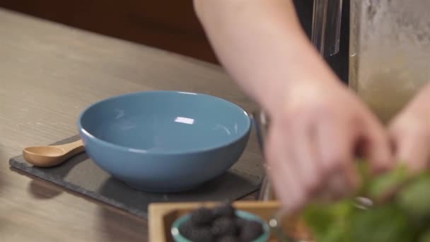 Plocka Upp Mynta Blad Och Sätta Mixer Statisk — Stockvideo