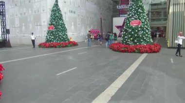 İnsanlar Noel ağacının arasında duruyorlar.