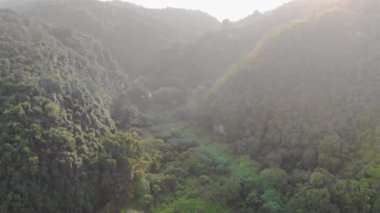  Morning Flare of hills and mountain covered with trees - Dolly Backward