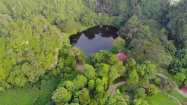 Etrafı ağaçlarla çevrili bir park yolu. 