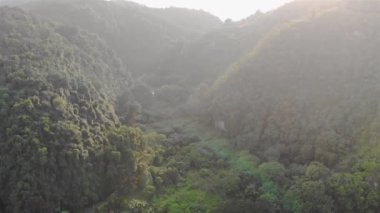 Tepelerdeki ve ağaçlardaki alevlerle puslu bir sabah