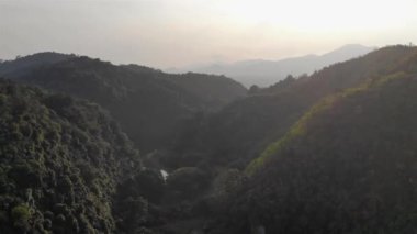 Ağaçlı ve alevli yamaç manzarası