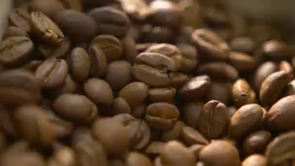 Reihen Brauner Kaffeebohnen Gestapelt — Stockvideo