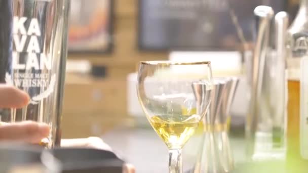 Vista Laterale Donna Versare Alcol Dal Jigger Bicchiere — Video Stock