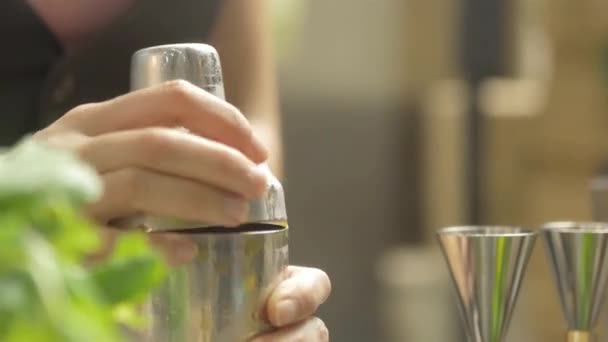 Kobieta Otwierająca Okładkę Shakera Nalewająca Drinki — Wideo stockowe