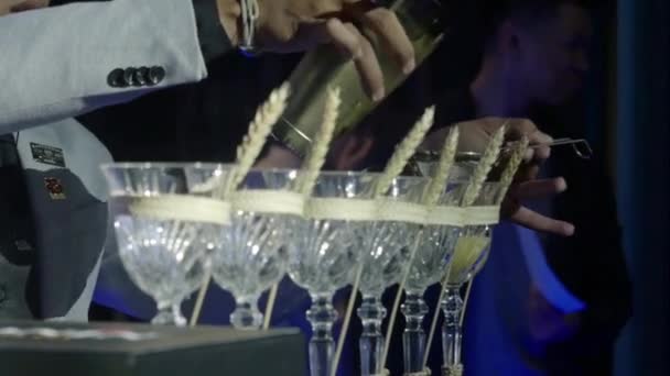 Laki Laki Menuangkan Dari Shaker Deretan Minuman — Stok Video