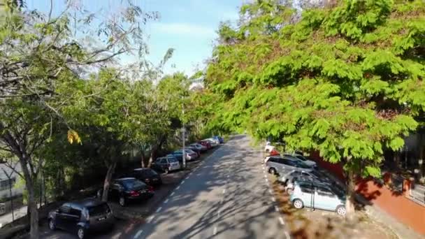 Vista Estacionamento Cima Com Árvores Estrada — Vídeo de Stock