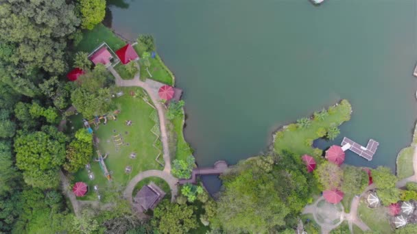 Bateau Naviguant Sur Étang Proximité Parc Récréatif — Video