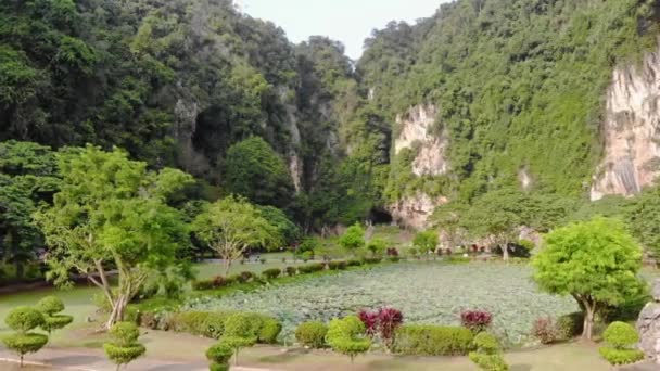 Vijver Met Lily Pads Uitzicht Een Heuvel Met Bomen — Stockvideo