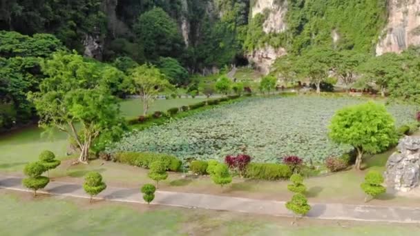 木々や歩道で覆われた丘で池の景色 — ストック動画