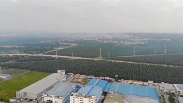 Vista Plantación Fábrica Circundante Meru — Vídeo de stock