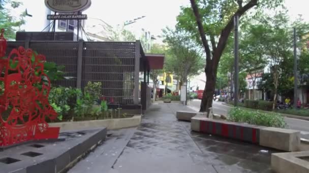 Gente Cruzó Calle Caminó Por Camino — Vídeos de Stock