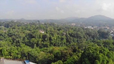 Ormandaki nemli havayla buğulanmış dağların Horizon Manzarası Sağdan Sola Eğil