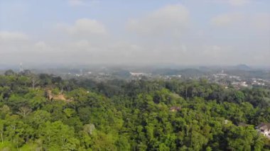 Doğal olarak Güneydoğu Asya 'da Parlak Gök Altında Tropikal Orman - Dolly Ters