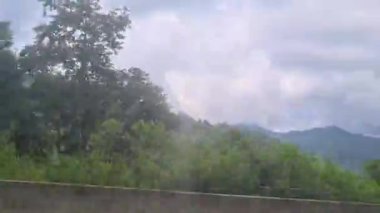 Driving Past Green Plants And Trees With Mountains In The Background - Pan Left To Right