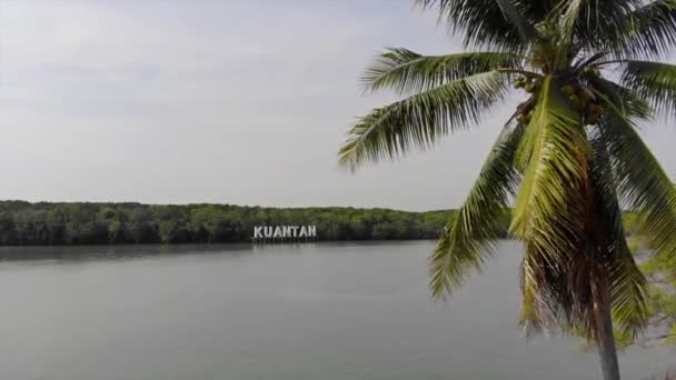 Kuantans River Horizon Med Palmer Och Tjock Djungel — Stockvideo