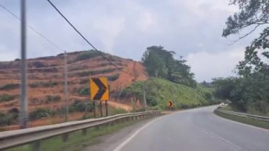 Rüzgarlı bir yolda, tepenin yamacında Orman ağaçlarının arasından geçerek yol boyunca