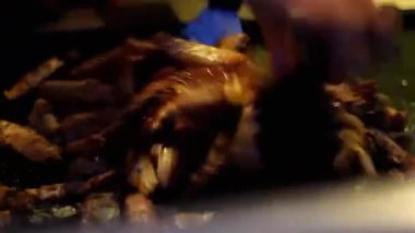 Stirring Sauce On Meat And Chilis Cooking - Close Up