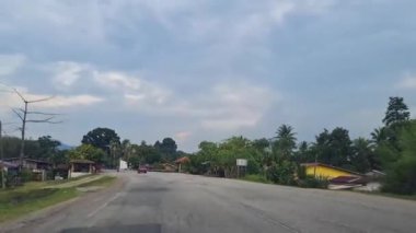 Meşgul Dar Yol 'un yanında Palmiye ağaçları ve yeşillik