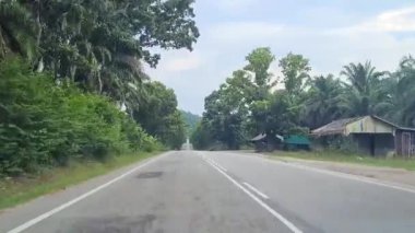 Dar Gri Yolu çevreleyen Uzun Ağaçlar ve Yeşillik