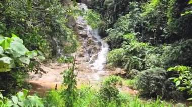 Yeşilliklerle çevrili Tropikal Ormanda Doğal Şelale