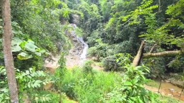 Huzurlu Tropikal Ağaçlar Arasındaki Minyatür Şelale