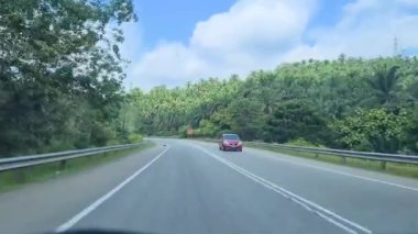 Kuala Lipis 'te Sessiz Bir Yol Yanındaki Palmiye Yağı Ağaçları 
