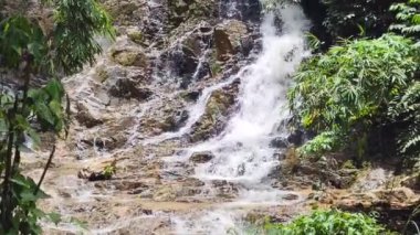 Huzurlu Tropikal Ormandaki Kayalıkların Üzerindeki Yeşil Şelale