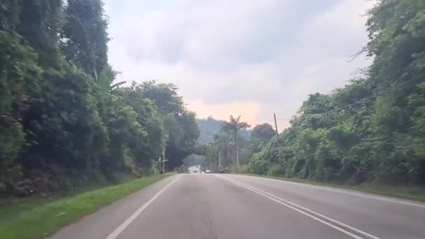 Conduciendo Rápido Por Carretera Estrecha Medio Una Selva Tropical Como — Vídeos de Stock