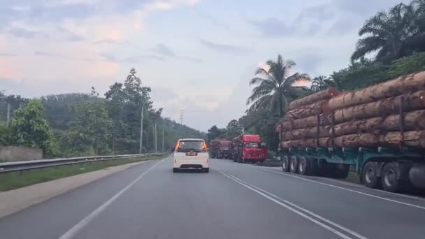 Autopista Colina Con Árboles Tala Camiones Detuvo Junto Carretera Día — Vídeos de Stock