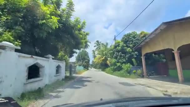 Narrow Street Small Town Neighborhood Surrounded Green Trees Clear Blue — Stock Video