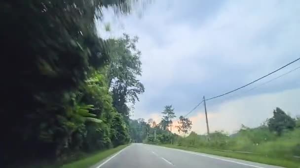 Carretera Estrecha Entre Árboles Verdes Tropicales Pacíficos Kota Bharu Malasia — Vídeos de Stock