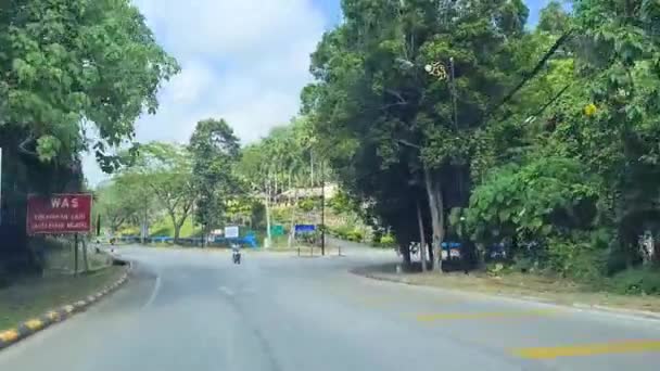 Peaceful Drive Hill Con Árboles Verdes Largo Calle — Vídeos de Stock