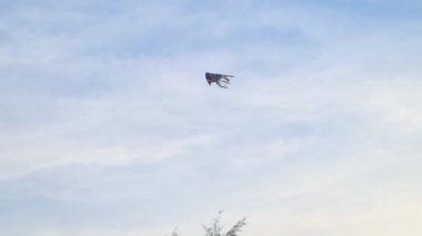 Mavi Gökyüzünün Altında Rüzgarda Uçan Renkli Uçurtma