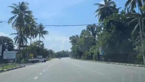 道路に沿って緑の木々と昼間の広い通りを運転 — ストック動画
