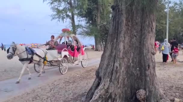 Cavalo Branco Puxando Transporte Rosa Das Pessoas Praia — Vídeo de Stock