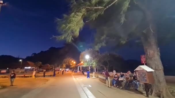 Park Walkway Beach Noapte Breezy Street Lights — Videoclip de stoc